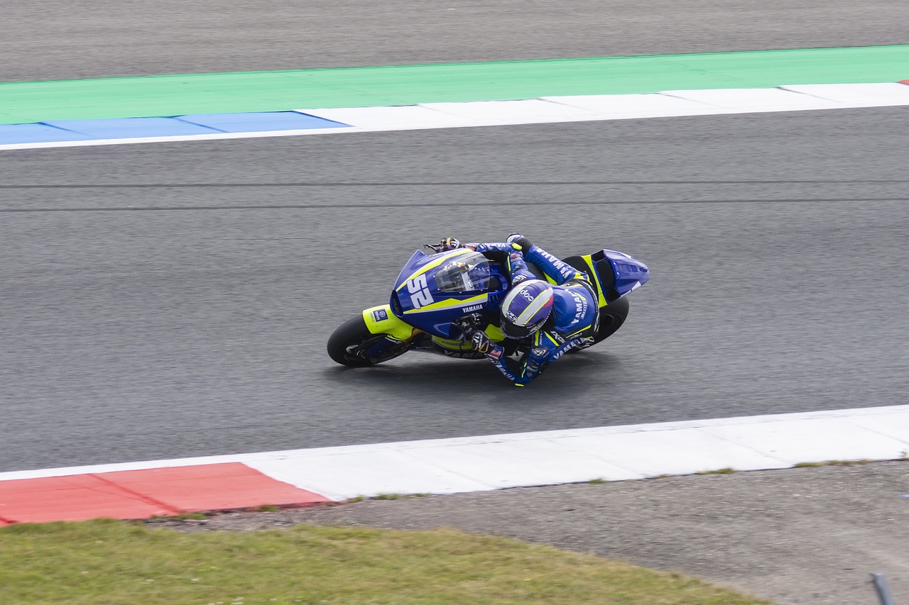 了时尚与体 了时尚与体