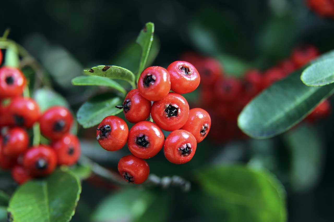 永遠刻印在 永遠刻印在