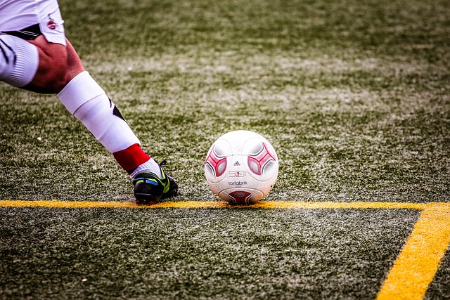 不仅提升了 不仅提升了